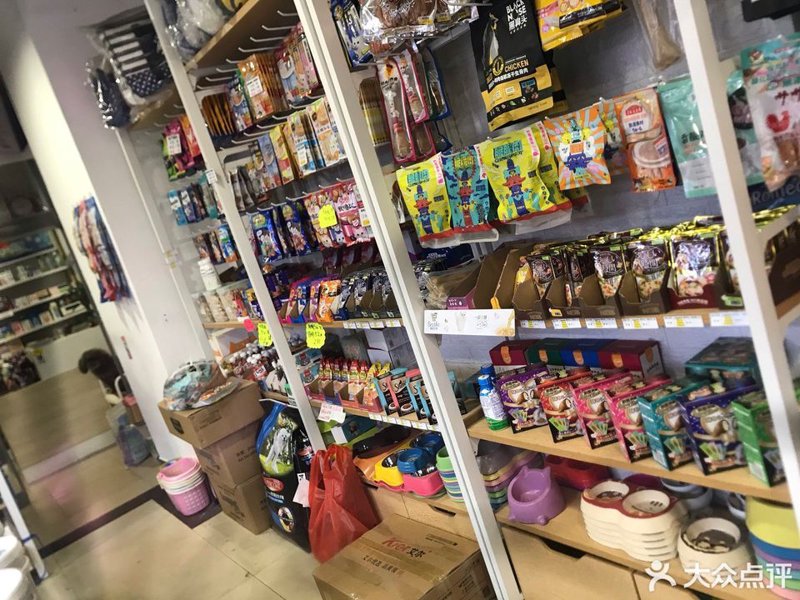 宠物用品批发趋势解读：打造您的理想宠物生活