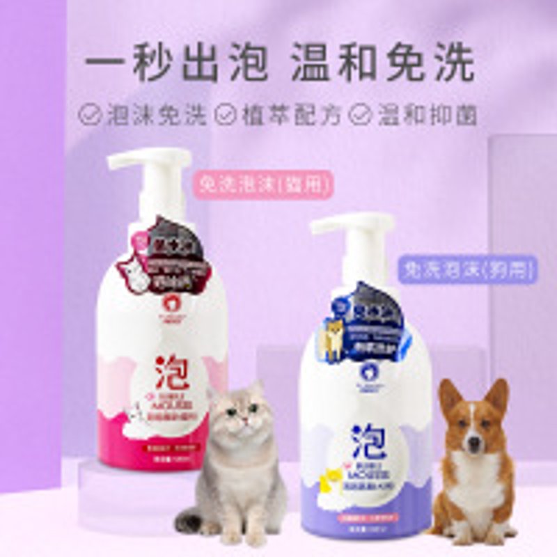 宠物的幸福生活——广州宠物用品选购指南