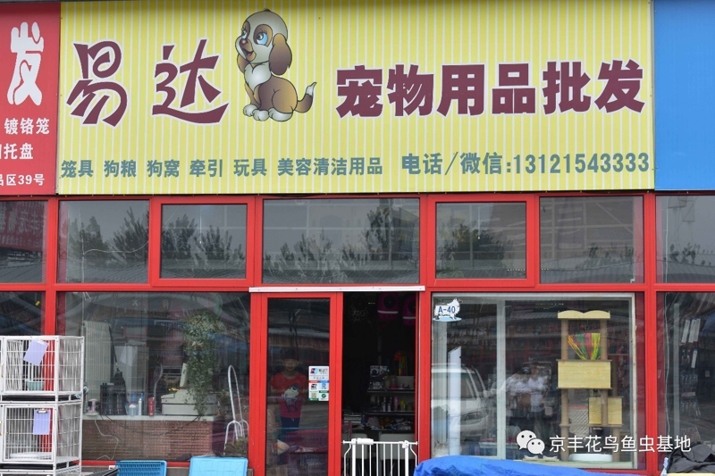 宠物爱好者必备指南：广州宠物用品选购技巧