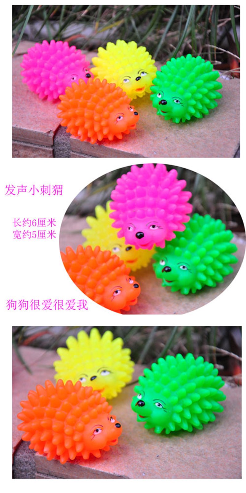 宠物用品一件代发趋势解读